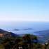 Роскошная вилла в Калкане с собственным оливковыми и фруктовыми садами и с видом на море - 31028 | Tolerance Homes