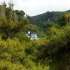 Роскошная вилла в Калкане с собственным оливковыми и фруктовыми садами и с видом на море - 31032 | Tolerance Homes