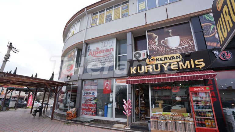 Коммерческая в Дошемеалты, Анталия: купить недвижимость в Турции - 54878