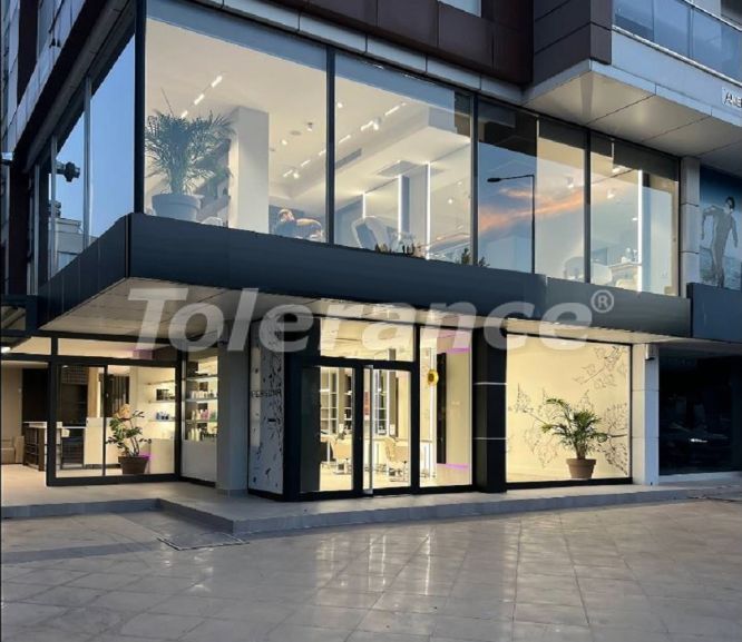 Коммерческая в Коньяалты, Анталия: купить недвижимость в Турции - 125845