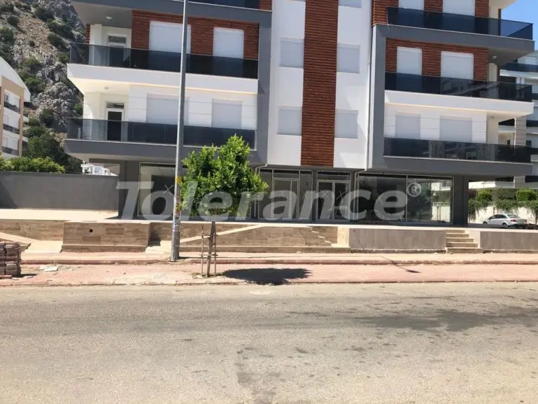 Коммерческая в Коньяалты, Анталия: купить недвижимость в Турции - 29104