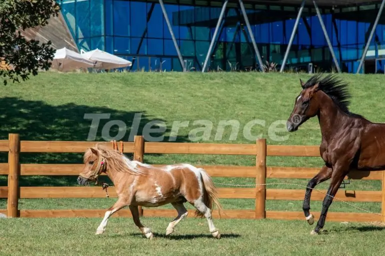 Квартира от застройщика в Чекмекёй, Стамбул с бассейном в рассрочку: купить недвижимость в Турции - 40281