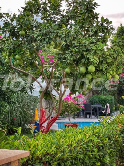 Квартира в Центре Кемера, Кемер с бассейном: купить недвижимость в Турции - 137794