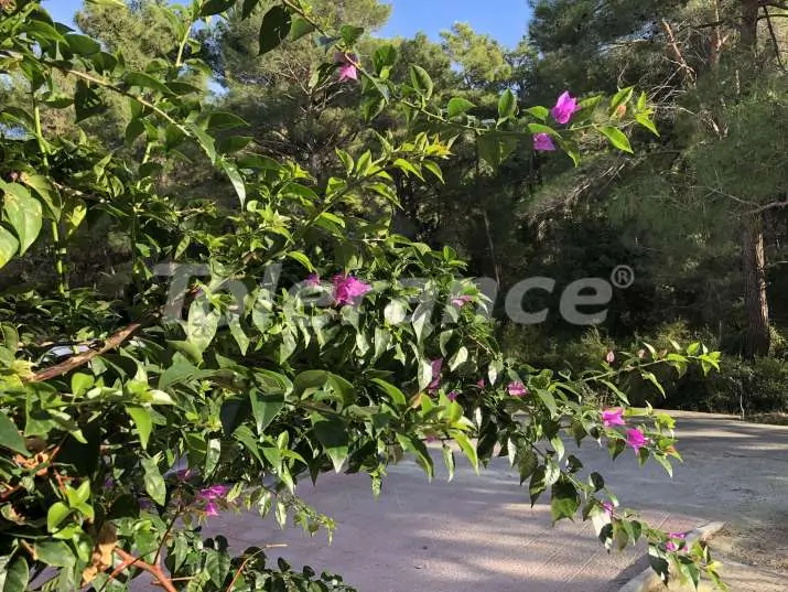 Квартира от застройщика в Центре Кемера, Кемер с бассейном: купить недвижимость в Турции - 14628