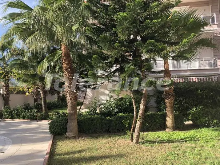 Квартира от застройщика в Центре Кемера, Кемер с бассейном: купить недвижимость в Турции - 14629