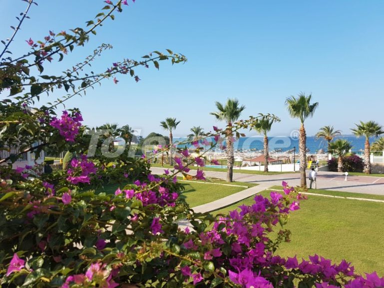 Квартира в Дидиме вид на море с бассейном: купить недвижимость в Турции - 102442