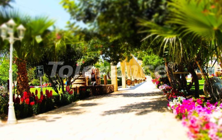 Квартира в Фамагуста, Северный Кипр: купить недвижимость в Турции - 126809