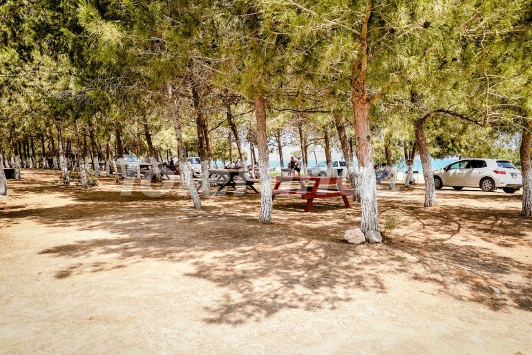 Квартира от застройщика в Фамагуста, Северный Кипр: купить недвижимость в Турции - 73843