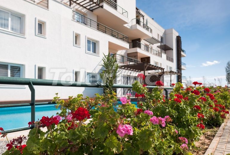 Квартира в Фамагуста, Северный Кипр вид на море с бассейном: купить недвижимость в Турции - 77447