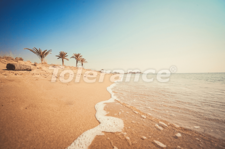 Квартира от застройщика в Фамагуста, Северный Кипр с бассейном: купить недвижимость в Турции - 85663