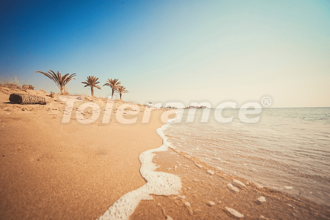 Квартира от застройщика в Фамагуста, Северный Кипр с бассейном: купить недвижимость в Турции - 92848