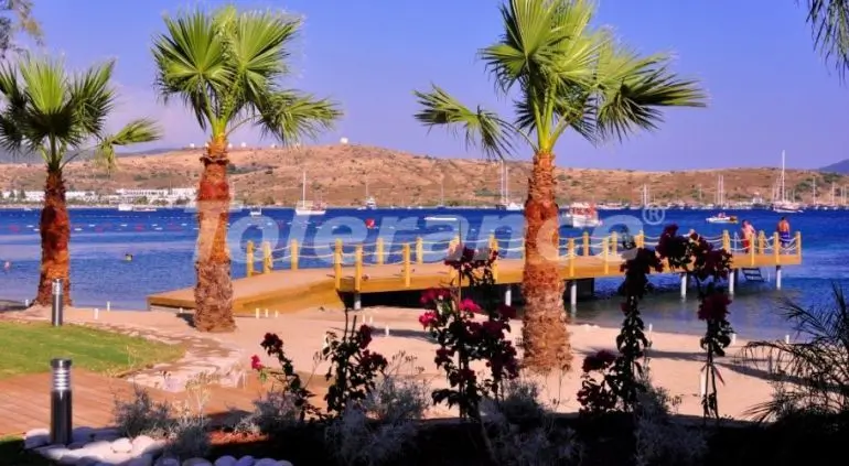 Квартира в Гюмбет, Бодрум с бассейном: купить недвижимость в Турции - 17442