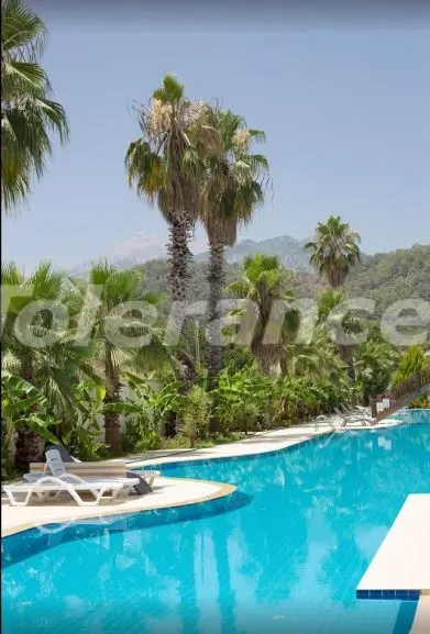 Квартира в Центре Кемера, Кемер с бассейном - 16945 Квартира в Центре Кемера, Кемер с бассейном: купить недвижимость в Турции - 16945