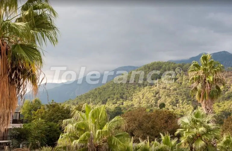 Квартира в Центре Кемера, Кемер с бассейном - 16957 Квартира в Центре Кемера, Кемер с бассейном: купить недвижимость в Турции - 16957