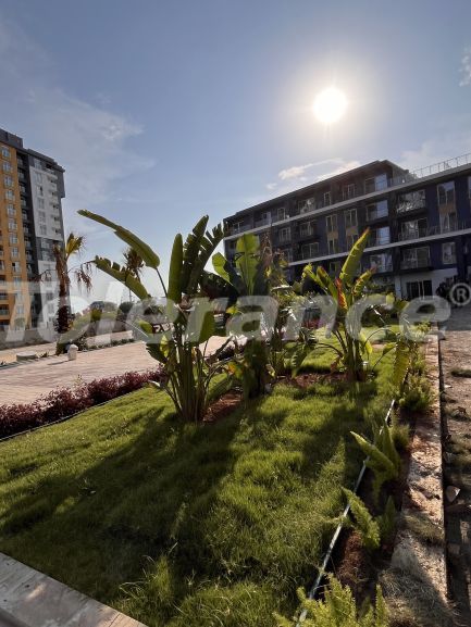 Квартира от застройщика в Кепез, Анталия с бассейном: купить недвижимость в Турции - 111258