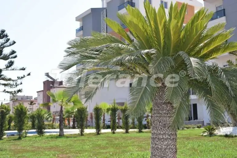 Квартира от застройщика в Кепез, Анталия с бассейном: купить недвижимость в Турции - 15788