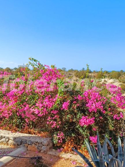 Квартира в Кирения, Северный Кипр вид на море с бассейном: купить недвижимость в Турции - 131326