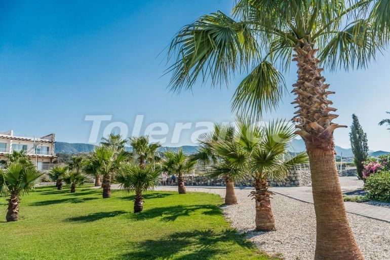 Квартира в Кирения, Северный Кипр вид на море с бассейном: купить недвижимость в Турции - 137143