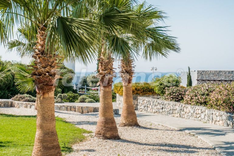 Квартира в Кирения, Северный Кипр вид на море с бассейном: купить недвижимость в Турции - 137145