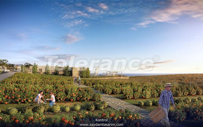 Квартира в Кирения, Северный Кипр: купить недвижимость в Турции - 71947