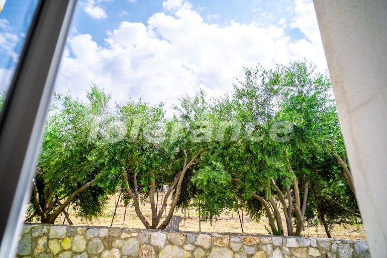 Квартира в Кирения, Северный Кипр: купить недвижимость в Турции - 85695