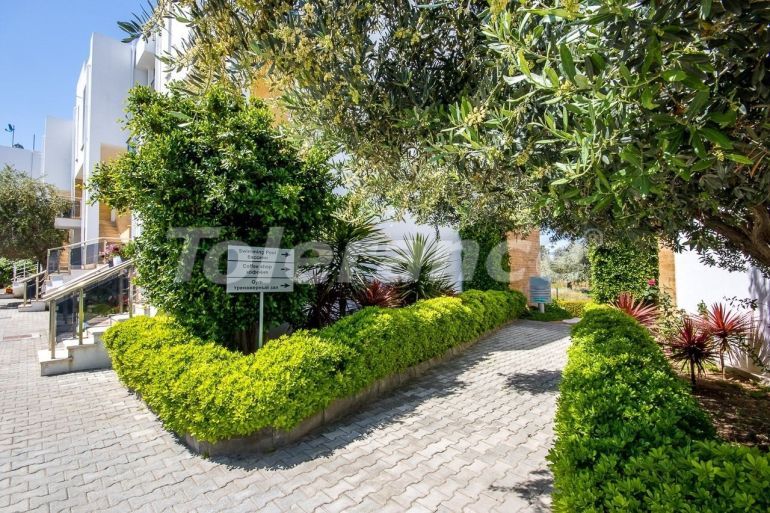 Квартира от застройщика в Кирения, Северный Кипр с бассейном: купить недвижимость в Турции - 87302