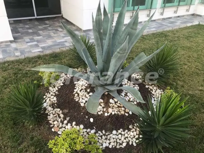 Квартира от застройщика в Лара, Анталия с бассейном: купить недвижимость в Турции - 8155