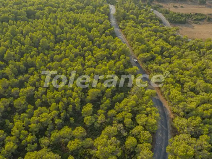 Вилла или дом от застройщика в Адабюкю, Бодрум вид на море с бассейном в рассрочку: купить недвижимость в Турции - 7521