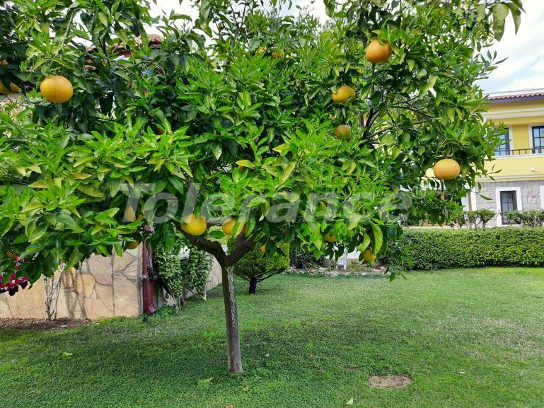 Вилла или дом в Арсланбуджак, Кемер с бассейном: купить недвижимость в Турции - 116136