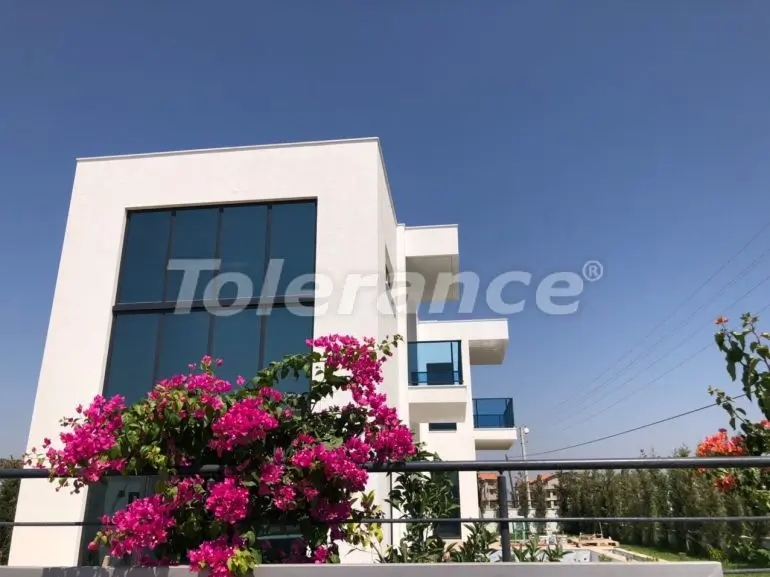 Вилла или дом в Центр Белека, Белек с бассейном - 39786 Вилла или дом в Центр Белека, Белек с бассейном: купить недвижимость в Турции - 39786