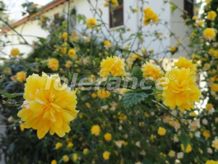 Вилла или дом в Бейджик, Кемер вид на море с бассейном: купить недвижимость в Турции - 1958