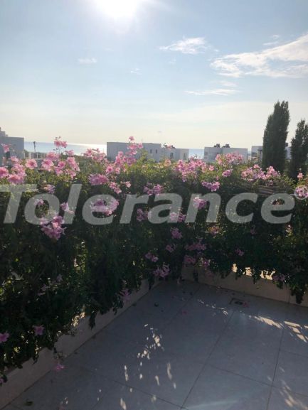 Вилла или дом в Фамагуста, Северный Кипр с бассейном: купить недвижимость в Турции - 110140