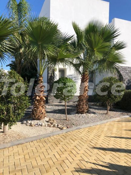 Вилла или дом в Фамагуста, Северный Кипр с бассейном: купить недвижимость в Турции - 110145