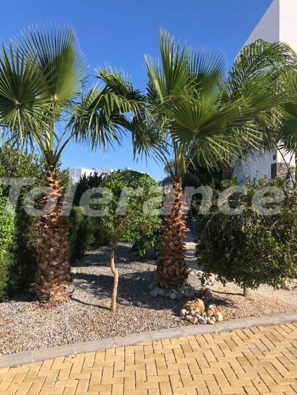 Вилла или дом в Фамагуста, Северный Кипр с бассейном: купить недвижимость в Турции - 110146