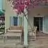 Вилла или дом в Фетхие с бассейном: купить недвижимость в Турции - 12657