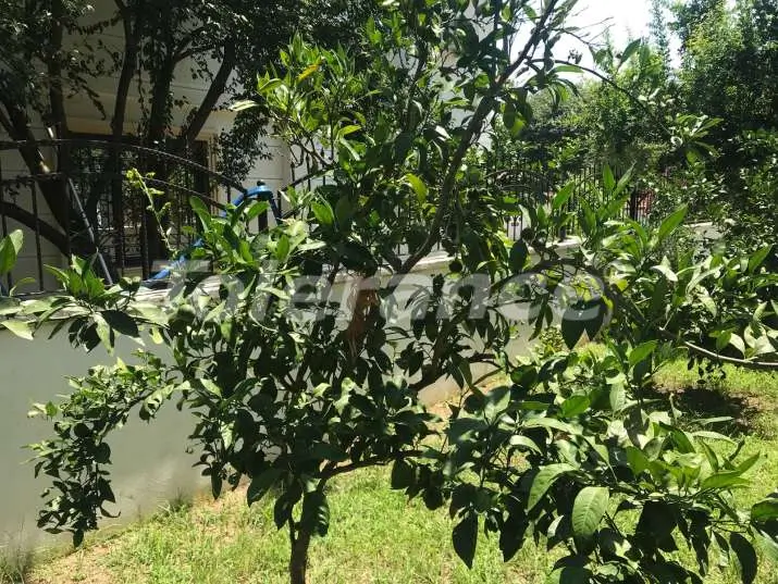 Вилла или дом от застройщика в Гёйнюк, Кемер с бассейном: купить недвижимость в Турции - 12048