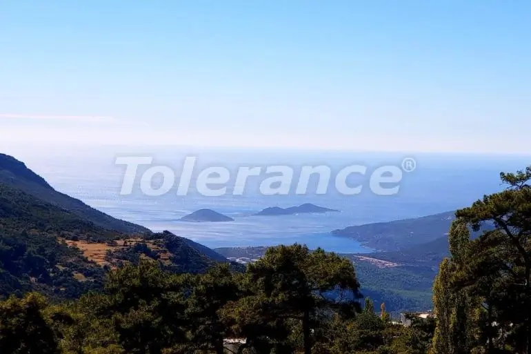 Вилла или дом в Калкане вид на море с бассейном: купить недвижимость в Турции - 31028