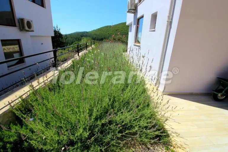 Вилла или дом в Каше с бассейном: купить недвижимость в Турции - 30305