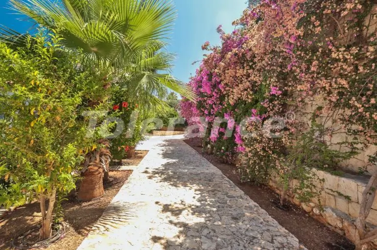 Вилла или дом в Каше с бассейном: купить недвижимость в Турции - 31352