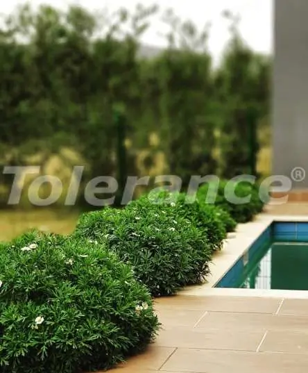 Вилла или дом от застройщика в Кепез, Анталия с бассейном: купить недвижимость в Турции - 13946