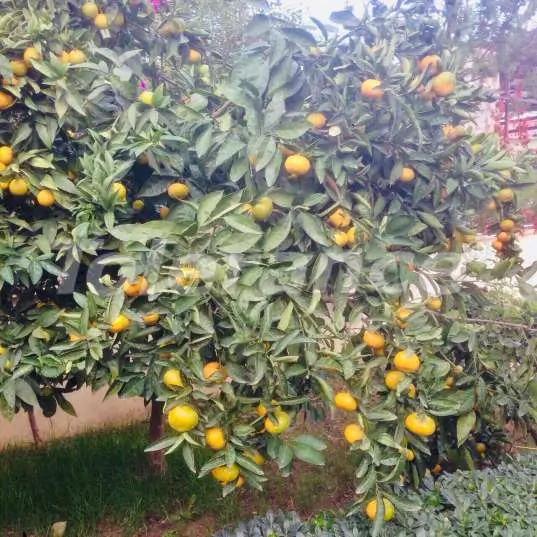 Вилла или дом от застройщика в Кириш, Кемер с бассейном: купить недвижимость в Турции - 14678