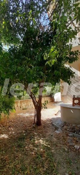 Вилла или дом в Кирения, Северный Кипр с бассейном в рассрочку: купить недвижимость в Турции - 110859