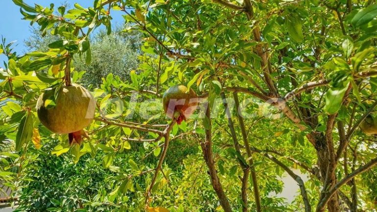 Вилла или дом в Кирения, Северный Кипр: купить недвижимость в Турции - 73472