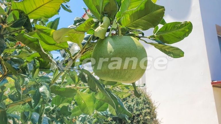 Вилла или дом в Кирения, Северный Кипр: купить недвижимость в Турции - 73475