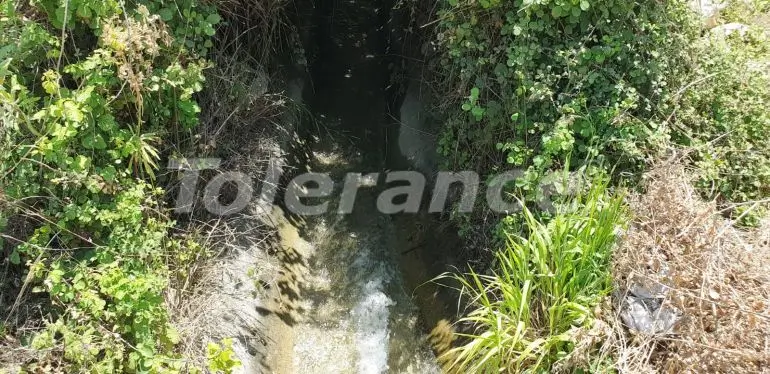 Земельный участок в Гёйнюк, Кемер: купить недвижимость в Турции - 16261