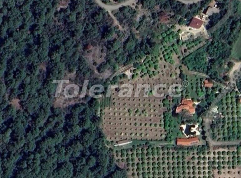Земельный участок в Гёйнюк, Кемер: купить недвижимость в Турции - 98433